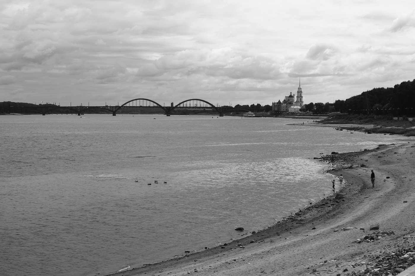 река волга ярославская область