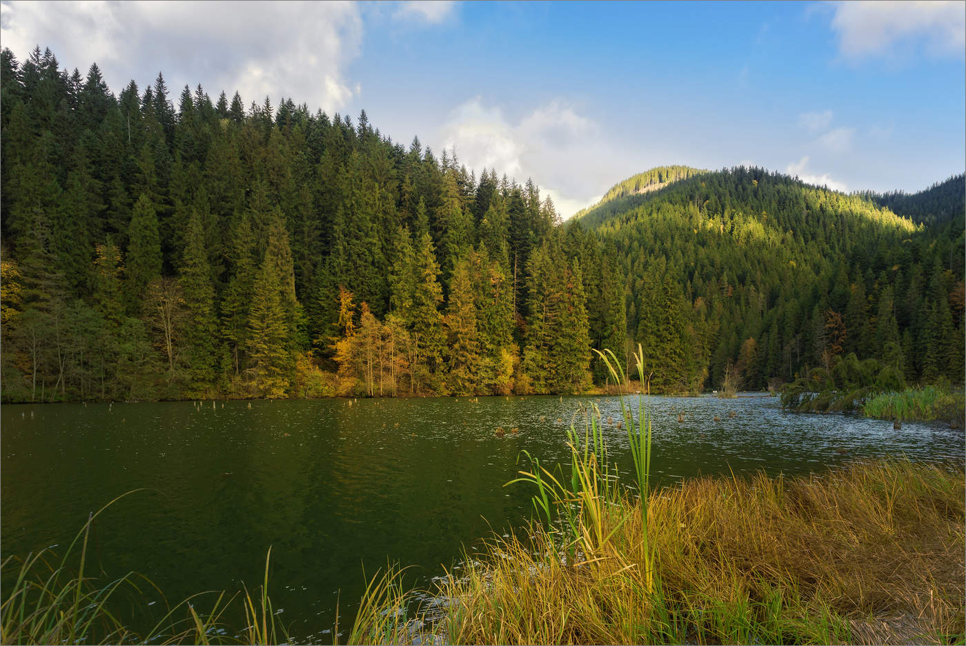 красное озеро в румынии