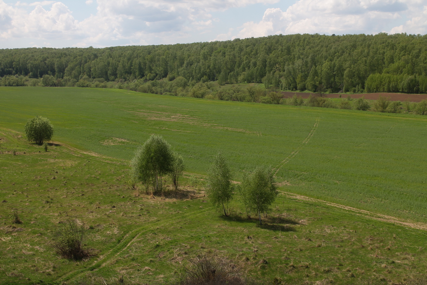 Злыхино Зарайский район