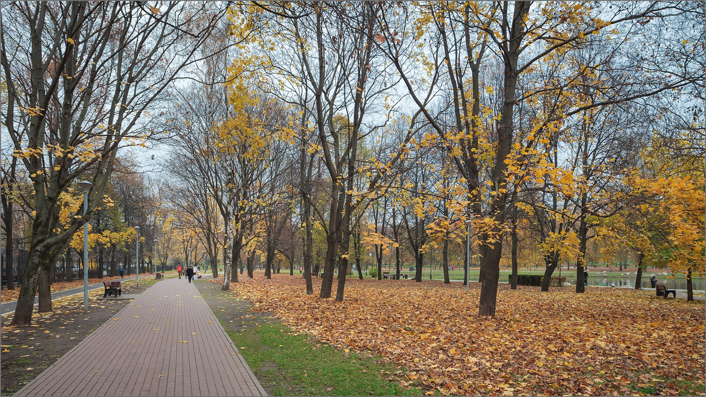 осень в парку в москве