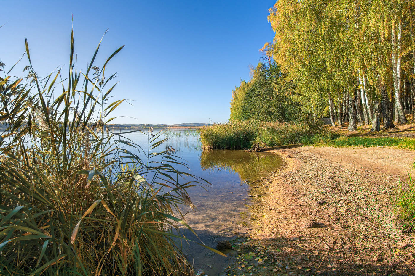 осень на берегу озера