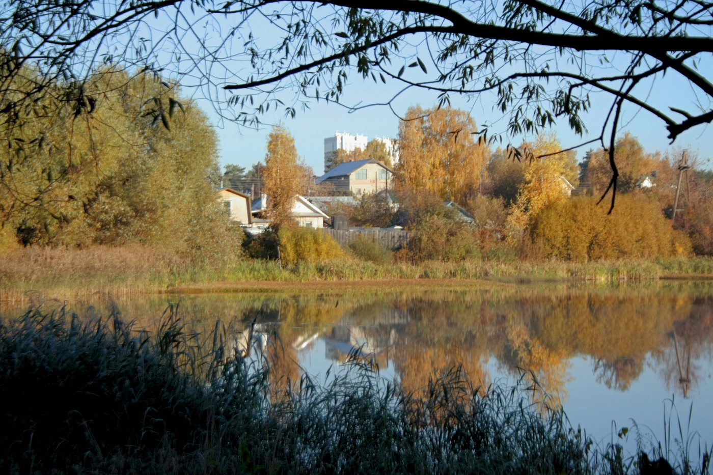 Дендрарий в дзержинске нижегородской области фото