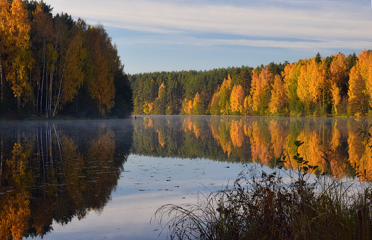 Утро осень Финляндия