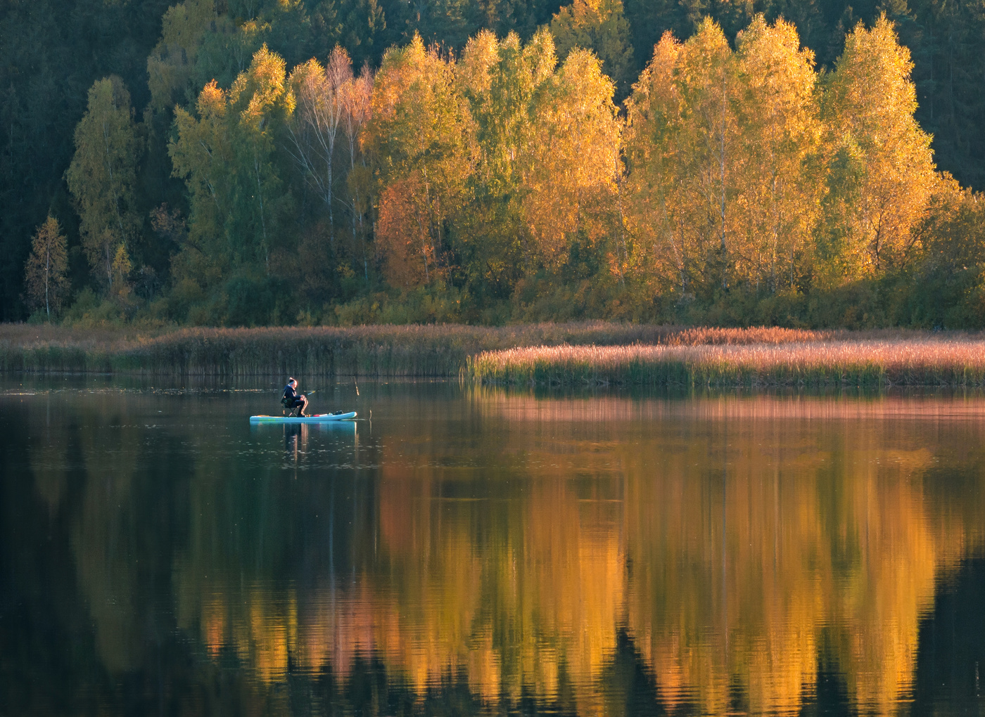 Красивая природа рыбалка