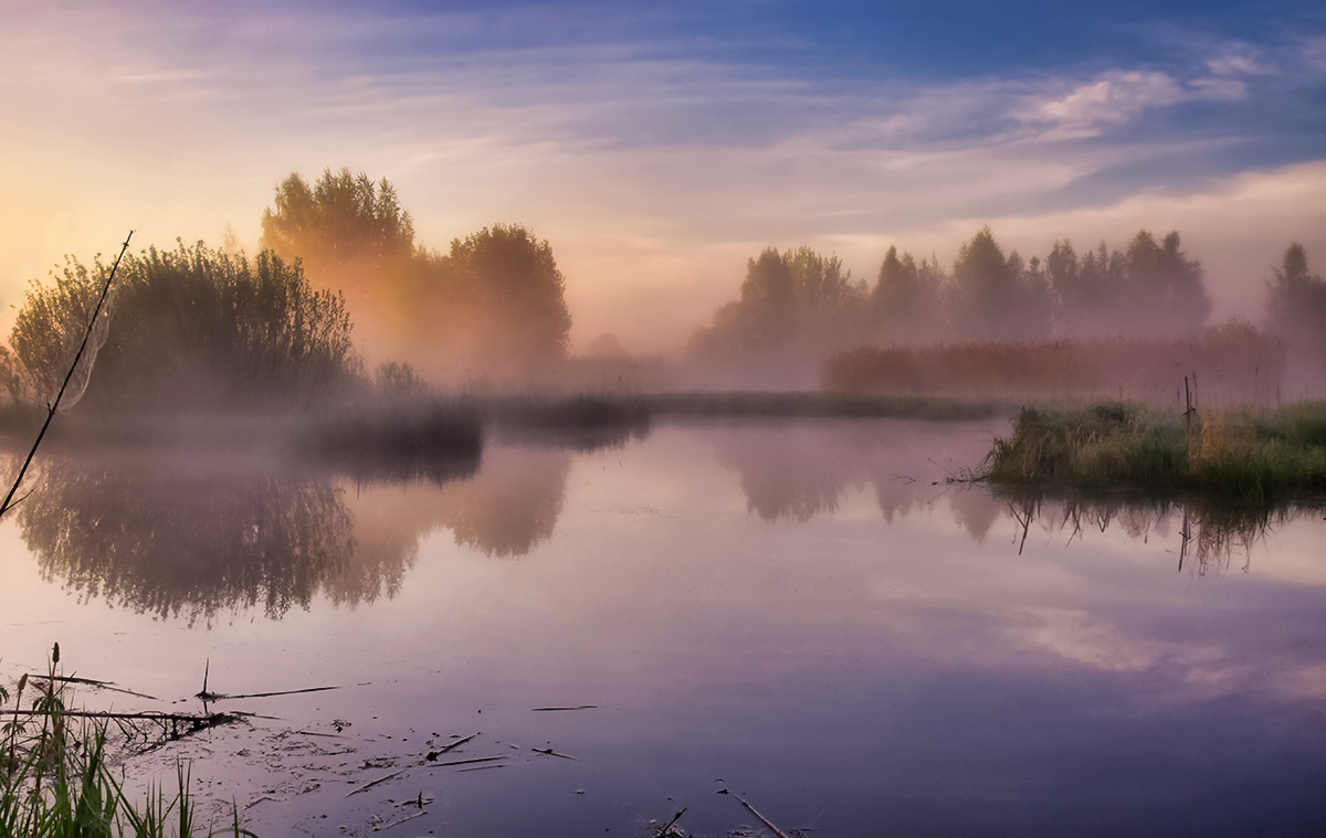 Зорька утренняя фото