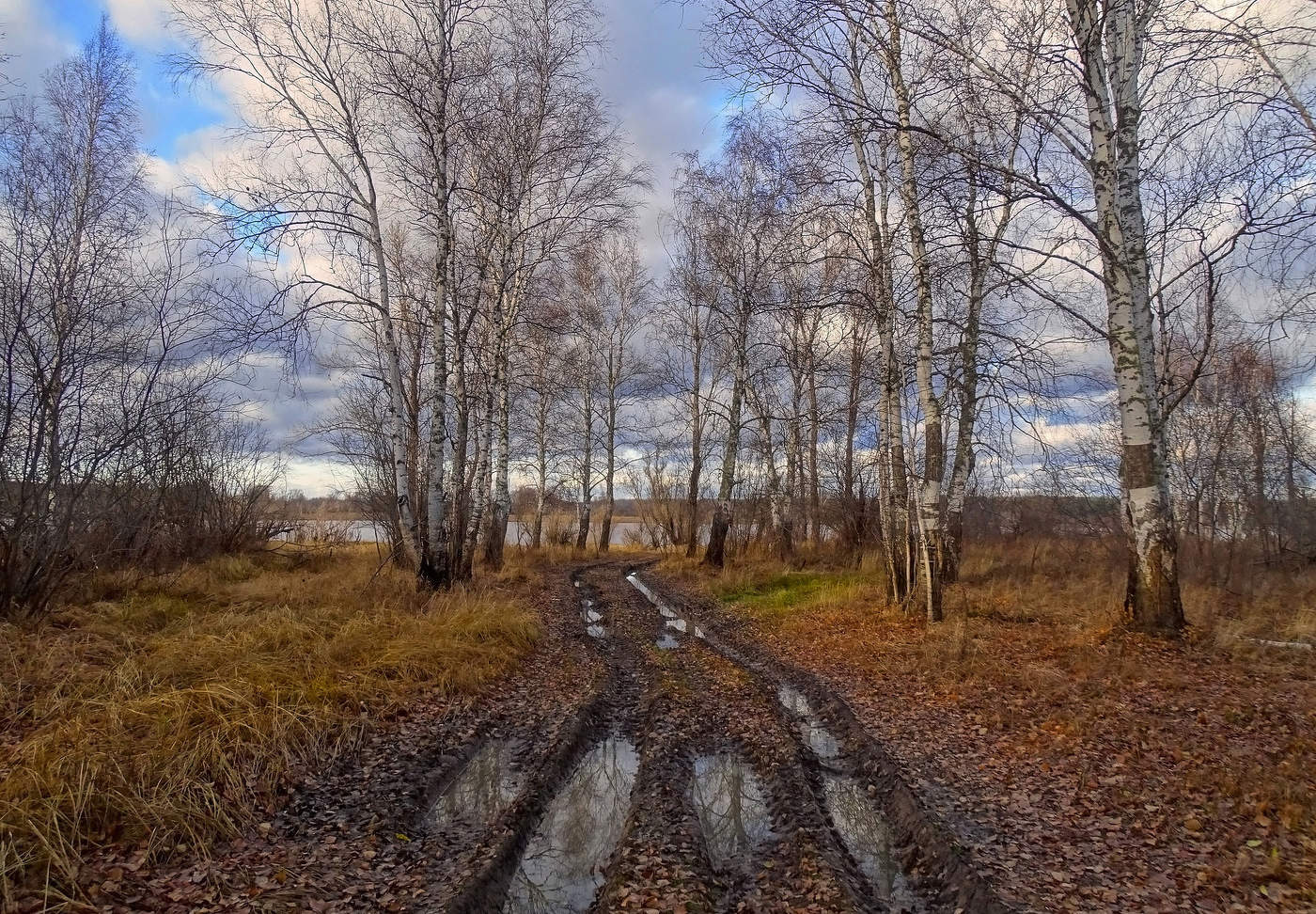 Уходит октябрь картинки. Октябрь фото природы. Октябрь уходит. Октябрь пейзаж ветки. Томские пейзажи осень.