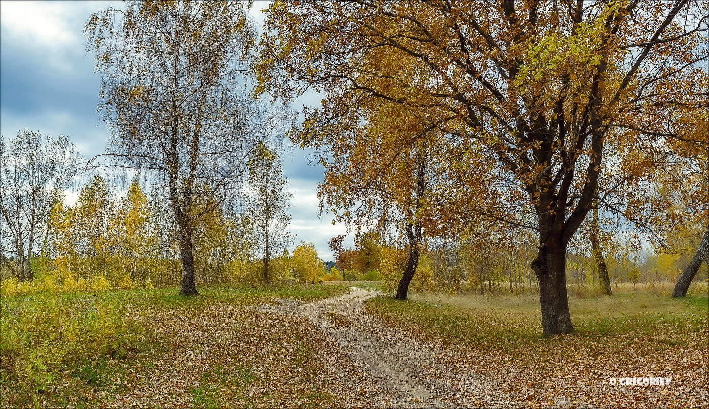 Круг я брел по осенней дороге домой