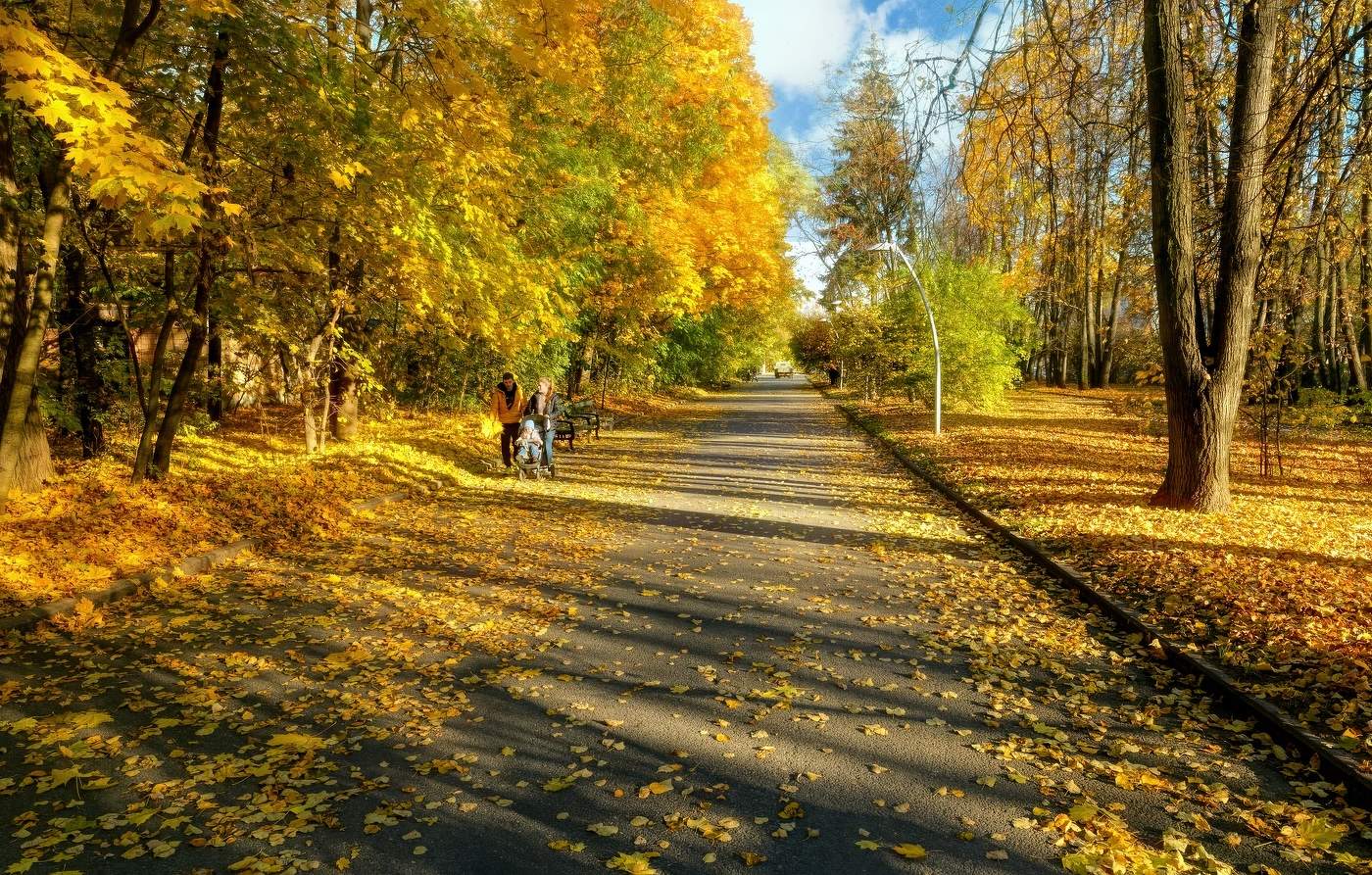 Осень в октябре в парке Победы