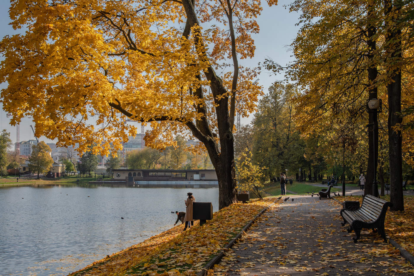 Осень в Екатерининском парке