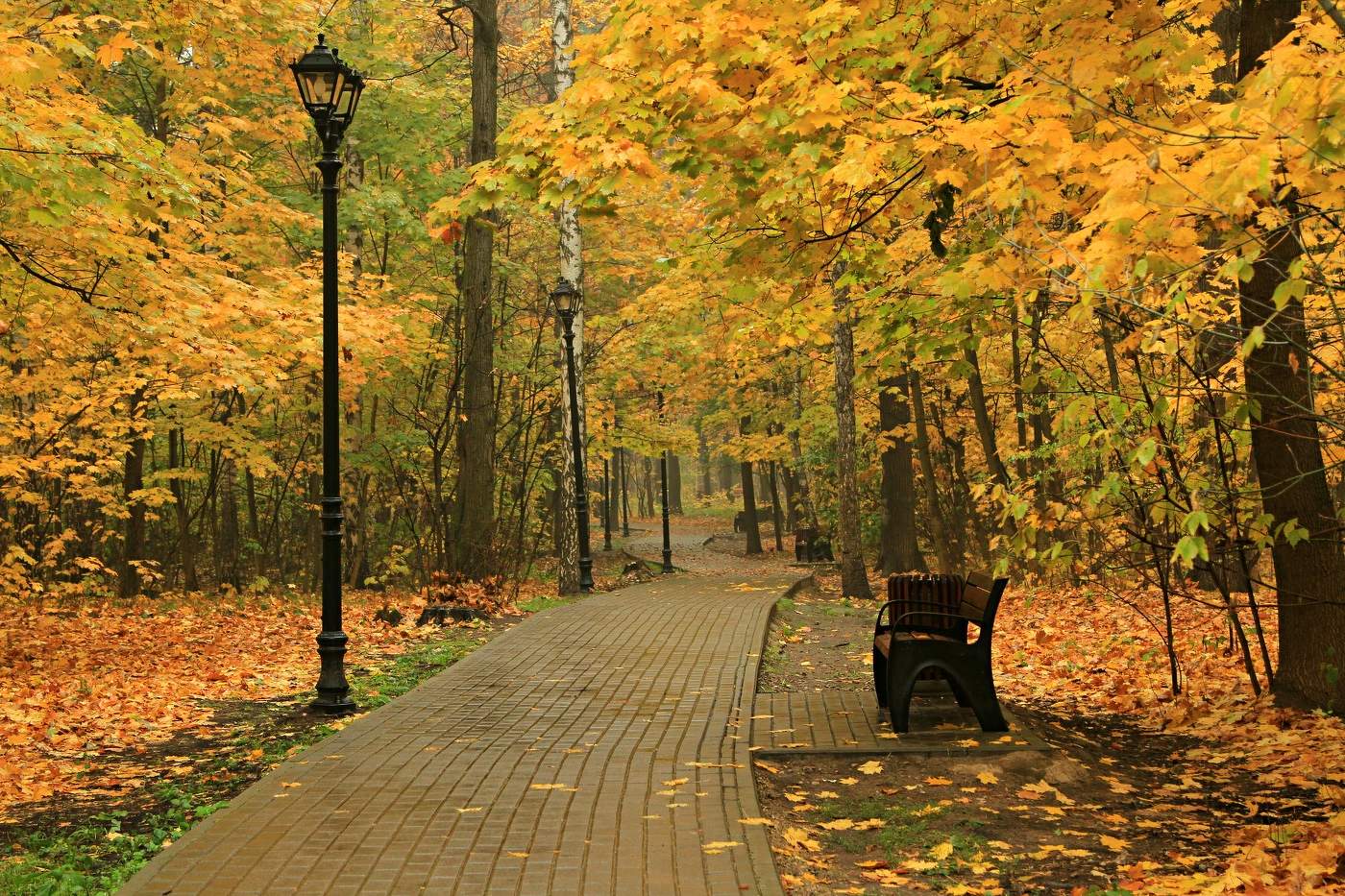 Осень в Филевском парке