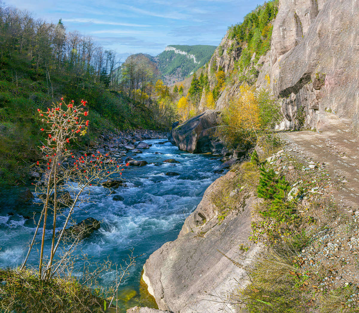 большая лаба река