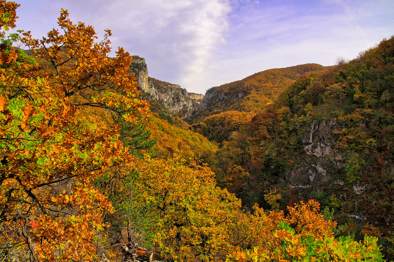 Заповедники крыма картинка