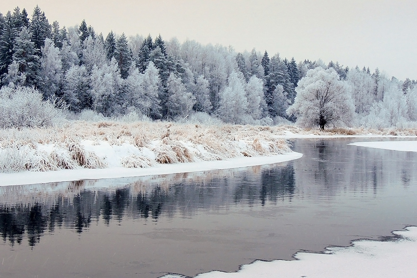 Река Тверца зимой