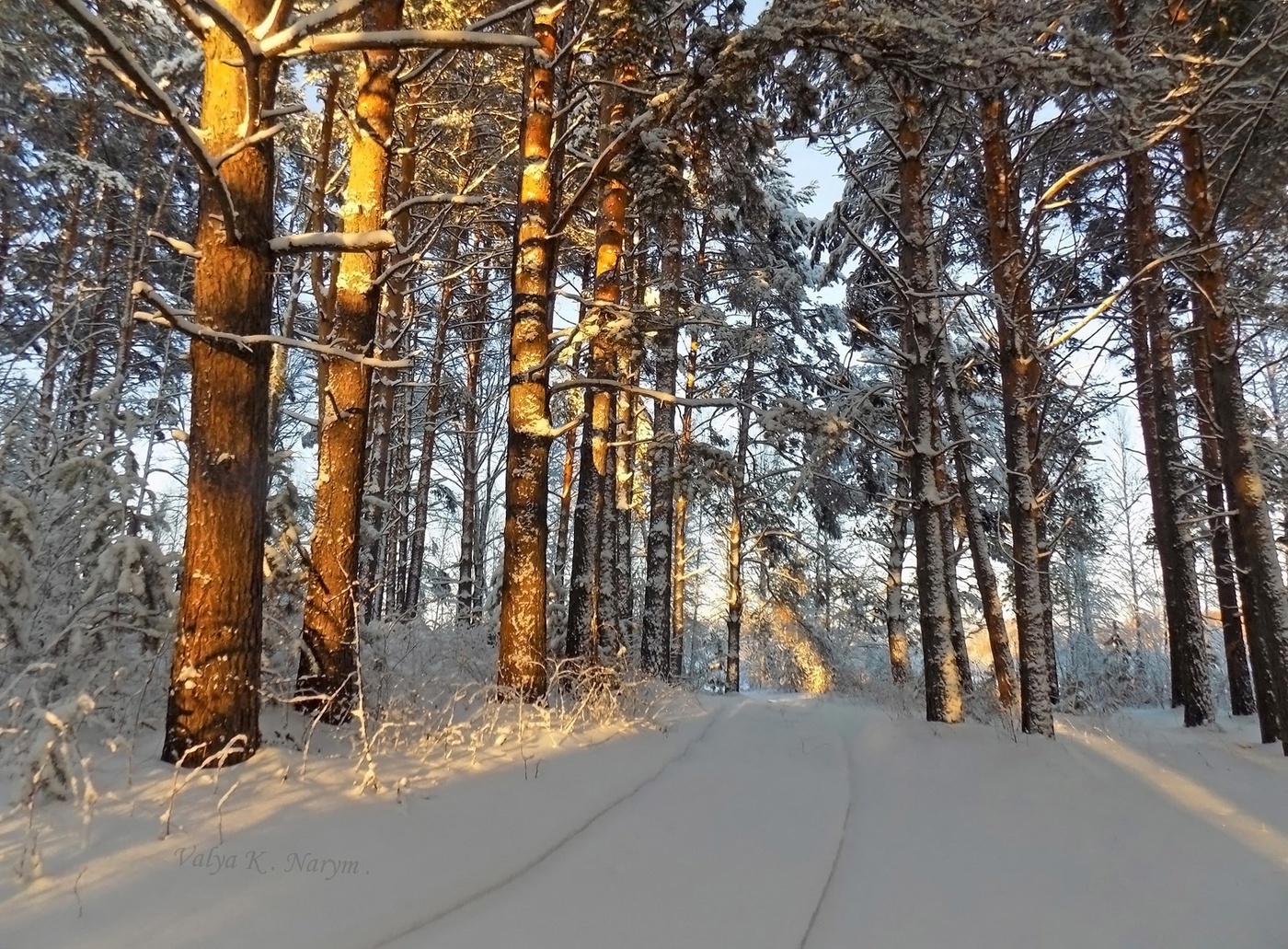 Томская область зима