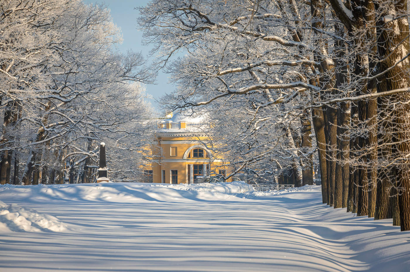 александровский парк в пушкине зимой