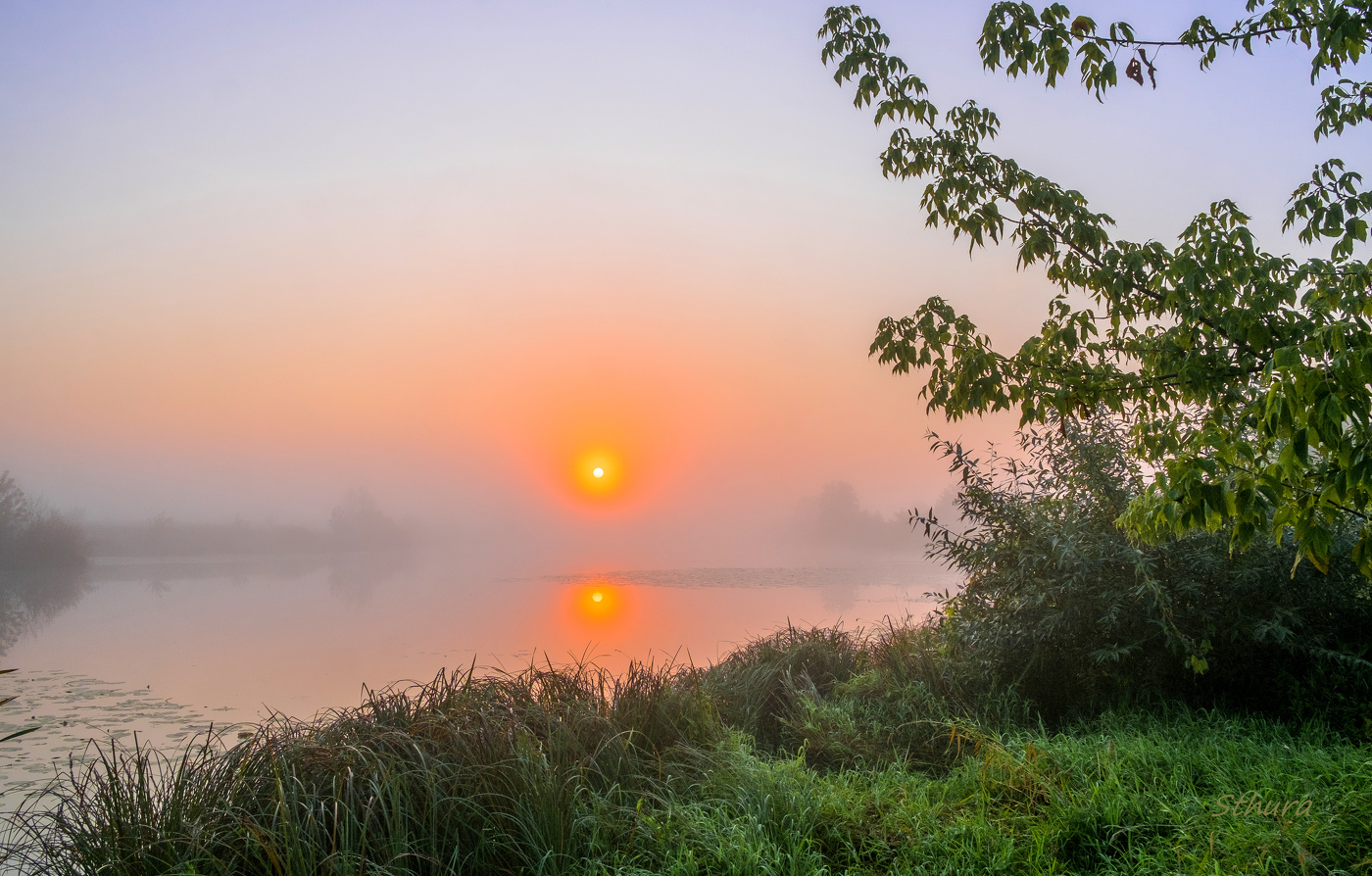 Утренняя заря фото