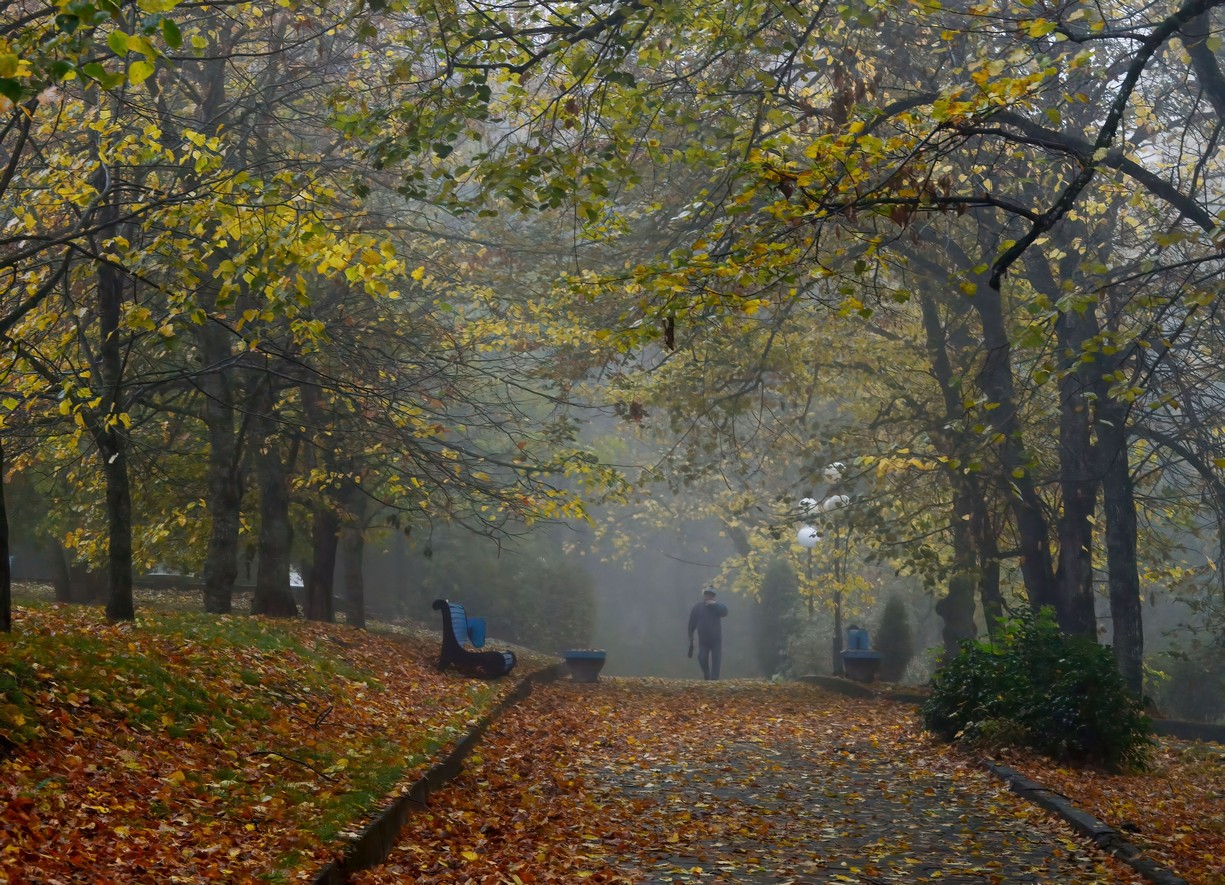 Фото железноводск осенью