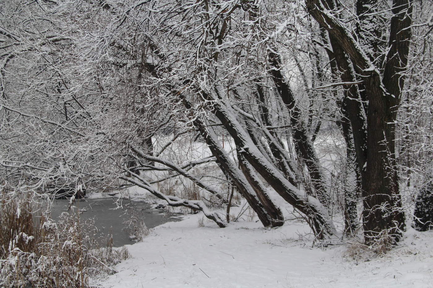 Вспоминая зиму. Вспоминая зиму. Вспомним зиму. Вахрушев вспоминаем зиму. Вспомним зиму.