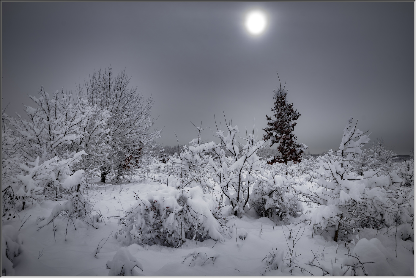 Зима Кубань Кубань фото