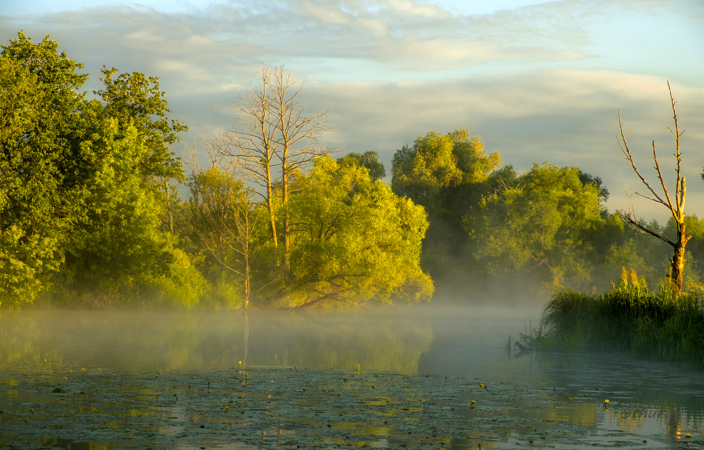 Озеро омут. Омут на реке. В тихом омуте. Озеро омут. Омут на реке.