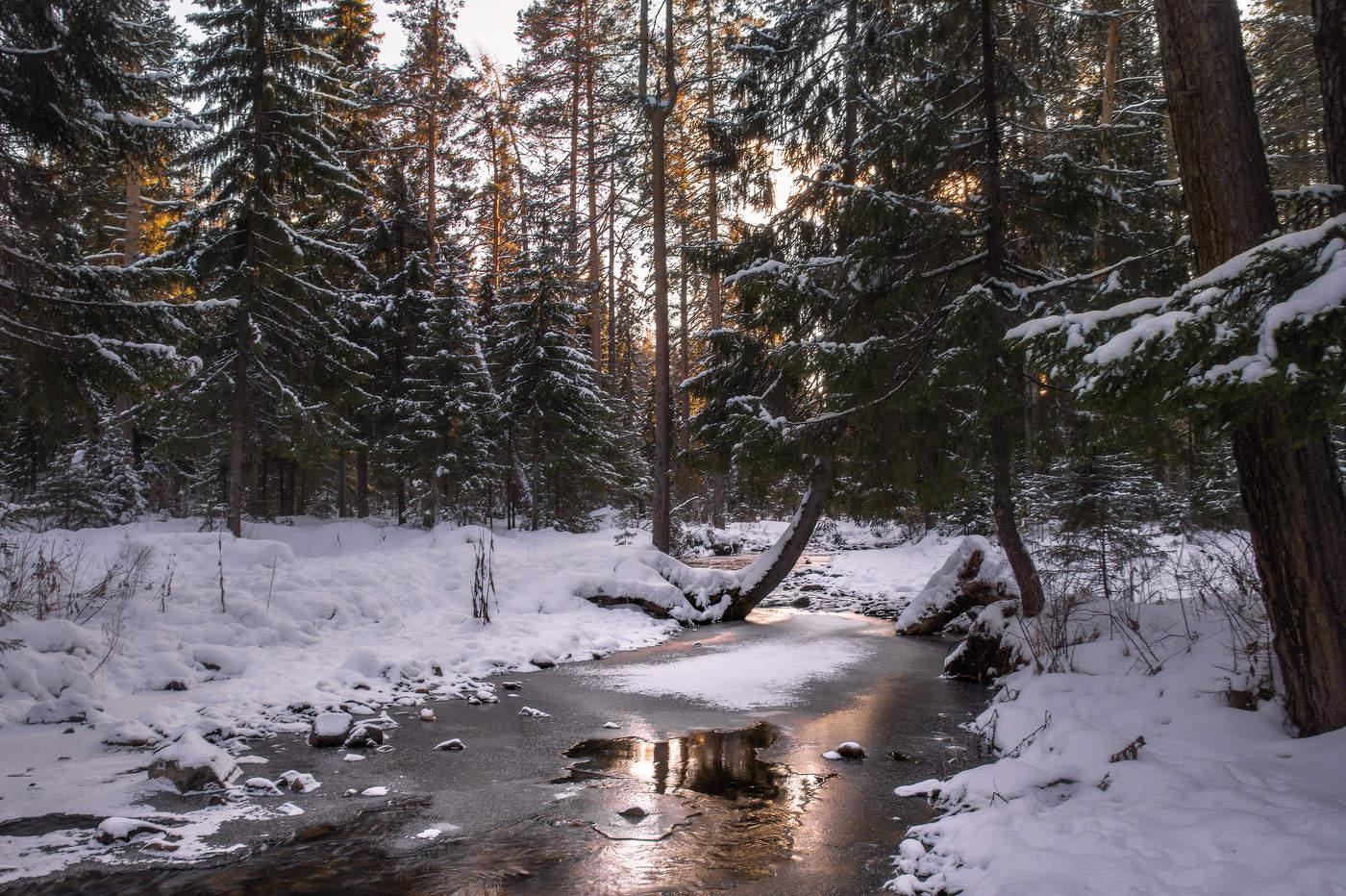 Зимний ручей в лесу