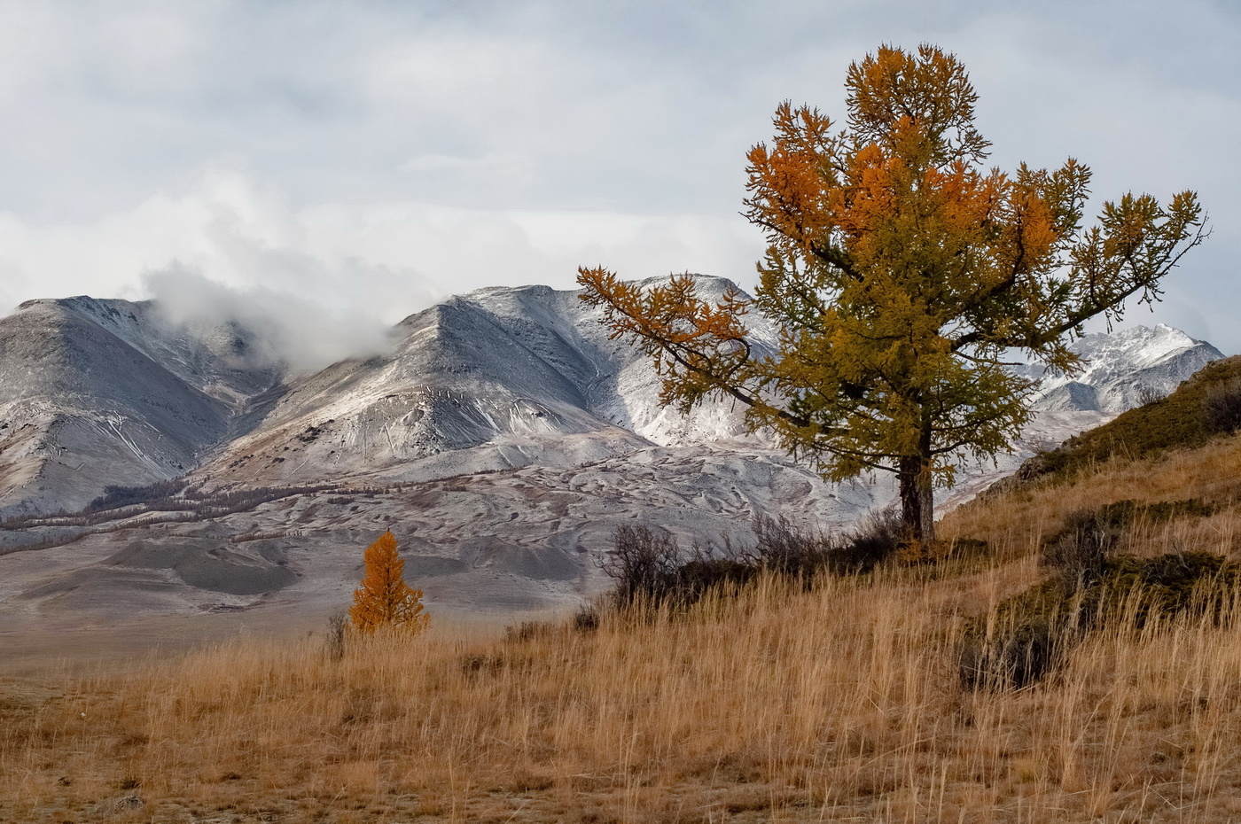 Фотосессия на Алтае осенью