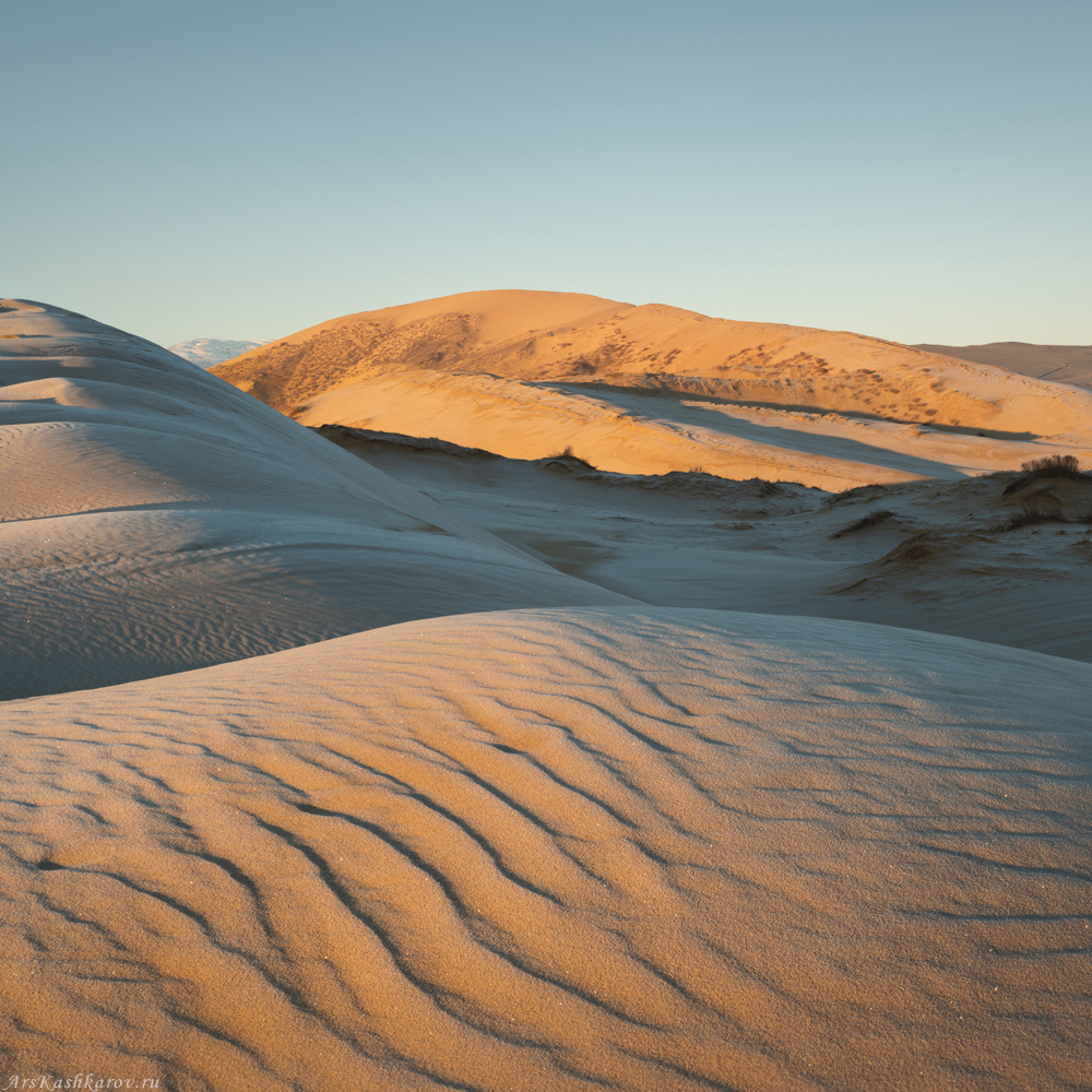 Бархан сары кум. Бархан Сарыкум. Песчаный Бархан Сарыкум. Бархан Сарыкум в Дагестане. Пустыня Бархан Сарыкум.