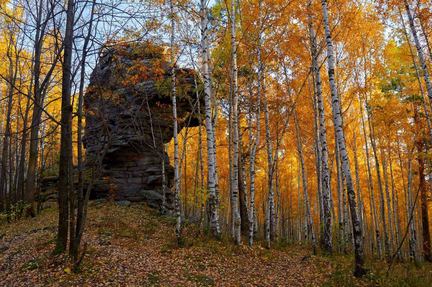 Осенний Уральский лес