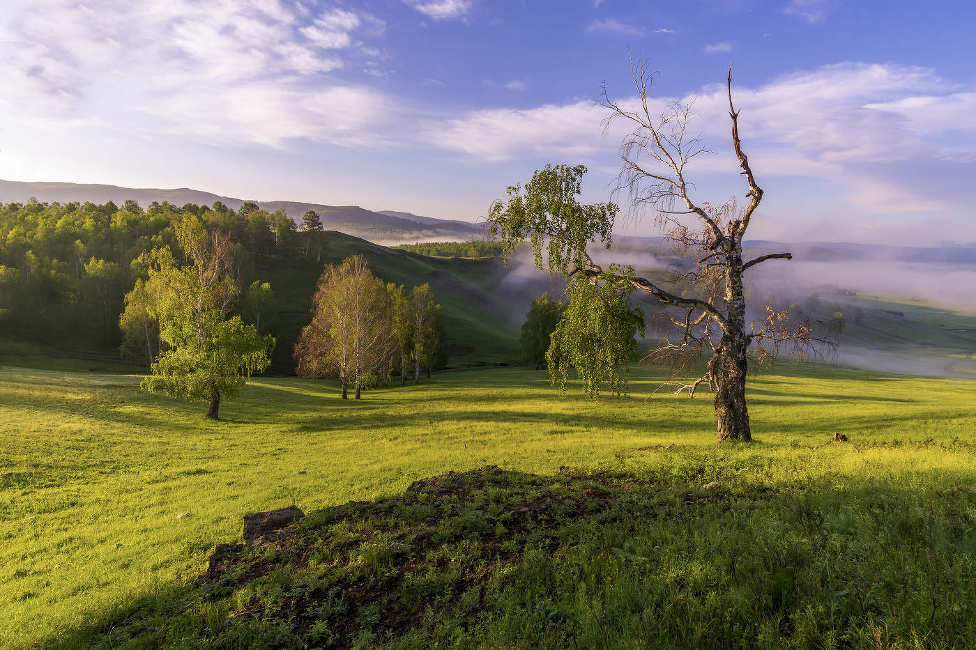 Край фото сайт