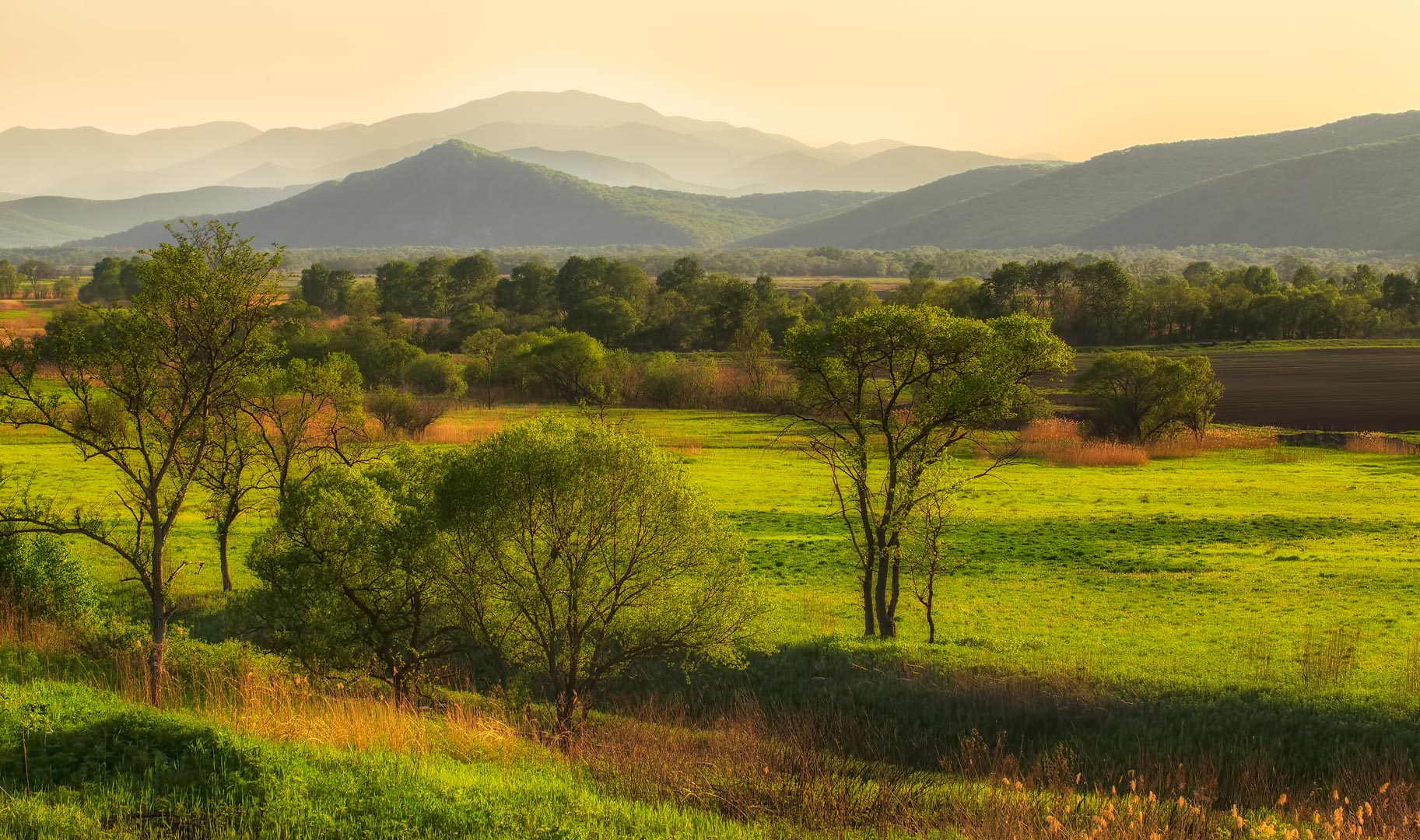 Приморский край поля. Приморье поля. Дальний восток приморский край. Приморье поля. Природа.