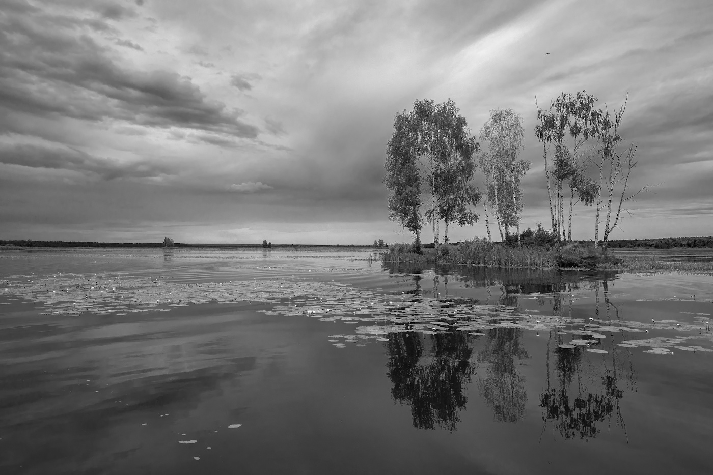 Кубринское водохранилище фото