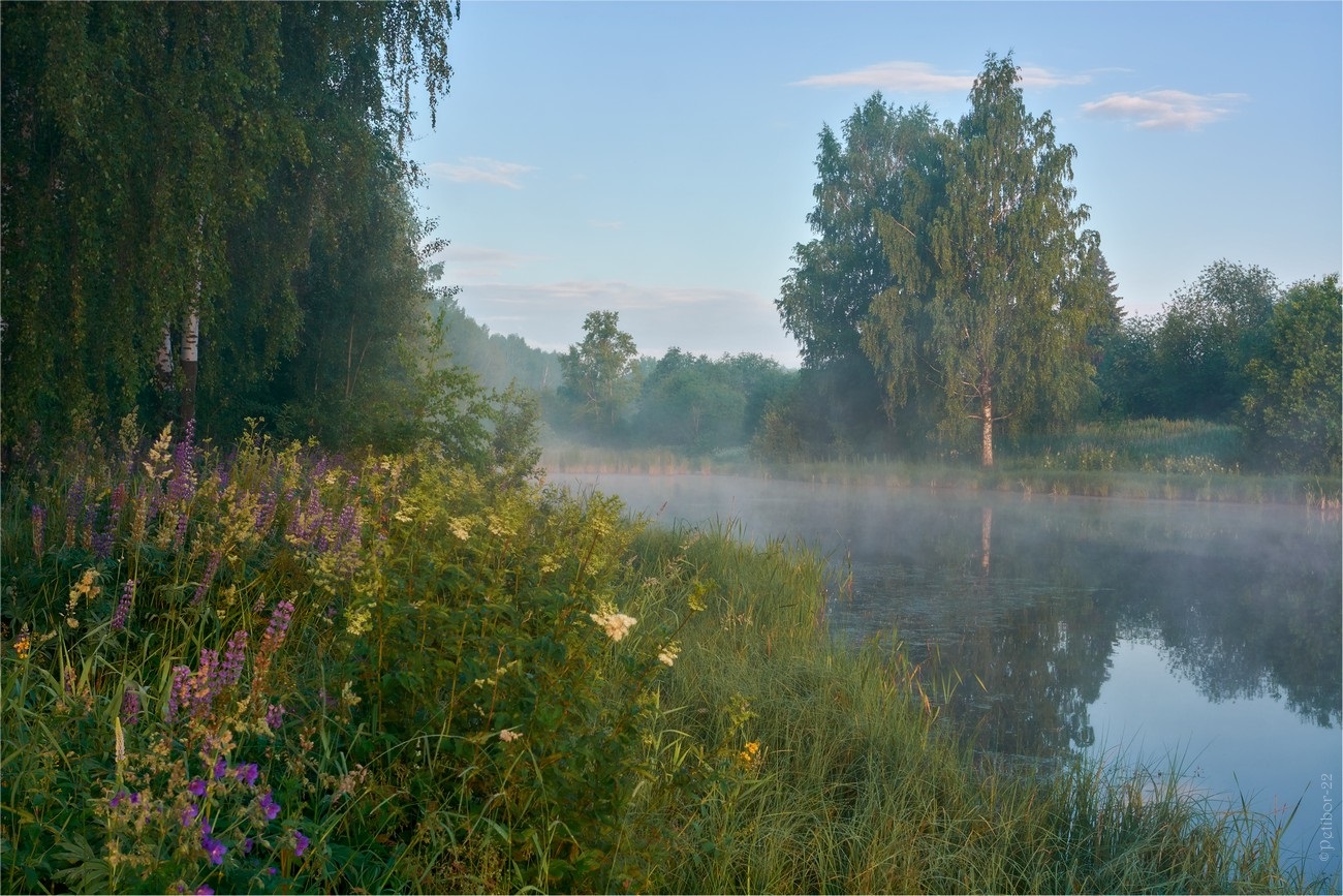 Летом на речке