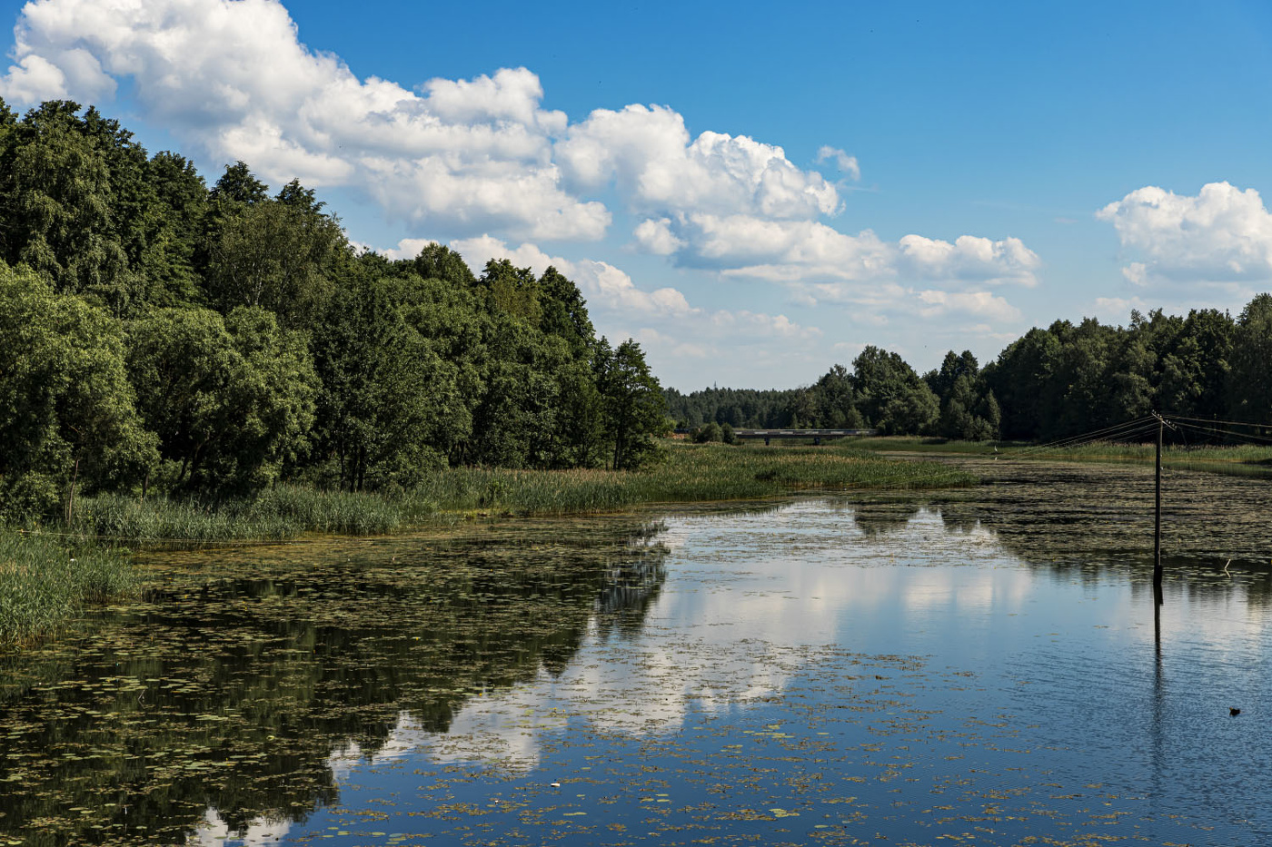 Десна фото. Река Десна. Речка фото. Речка за Смоленская. Рек.