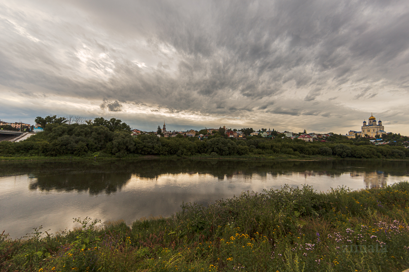 река быстрая сосна