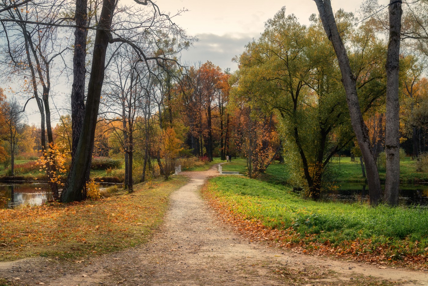 Села октябрь. Осенний парк. Парк октября. Царское село в октябре. Александровский парк.