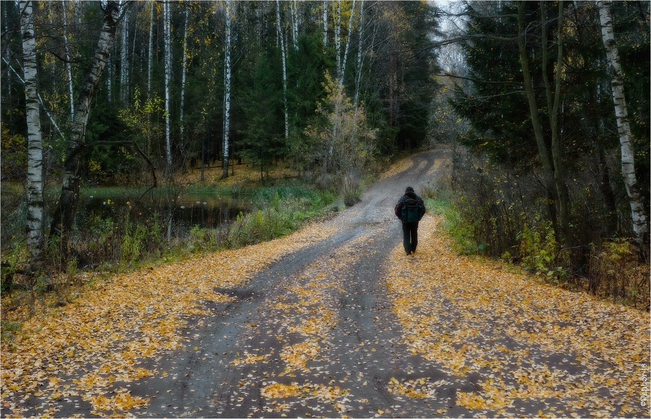 Осенняя фигура. Осенний фотоконкурс. Путь домой. Игорь аесасарстров фотограф. Петр Гутин фотограф.