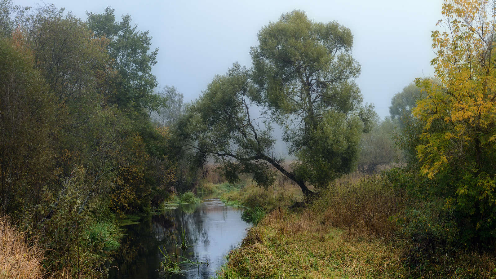 Фото речки и осеннего леса в деревне