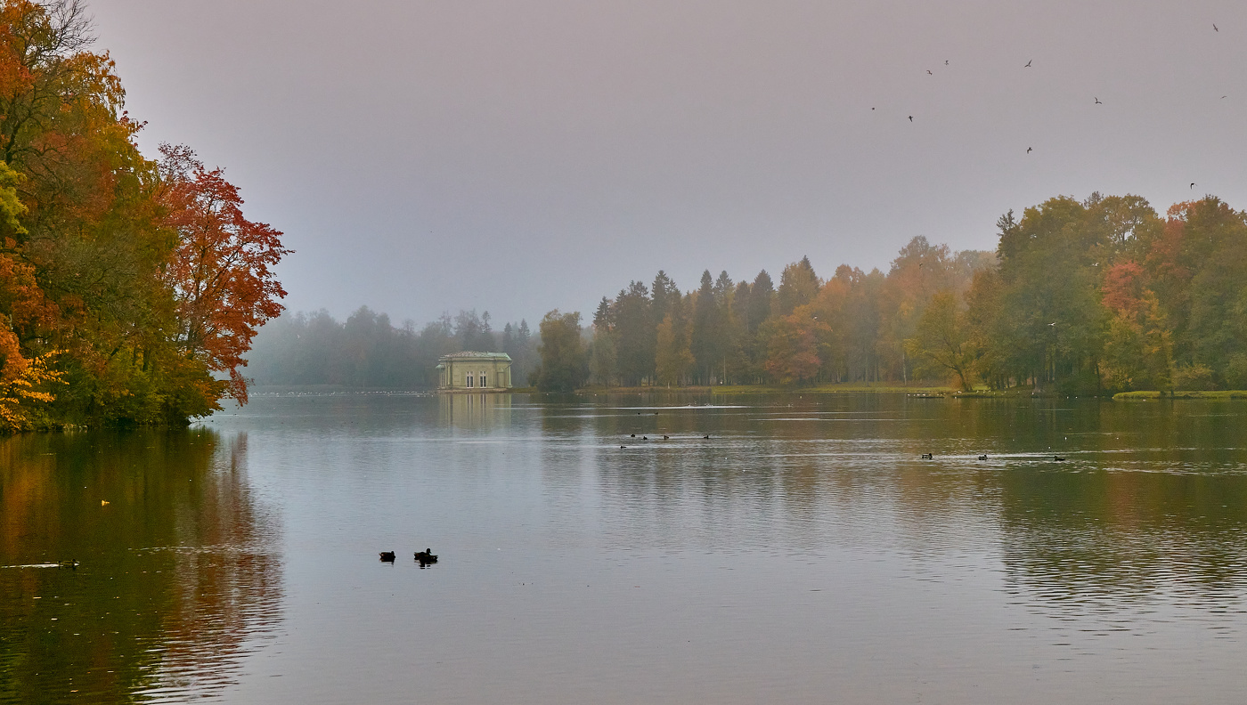 Осень в Гатчинском парке