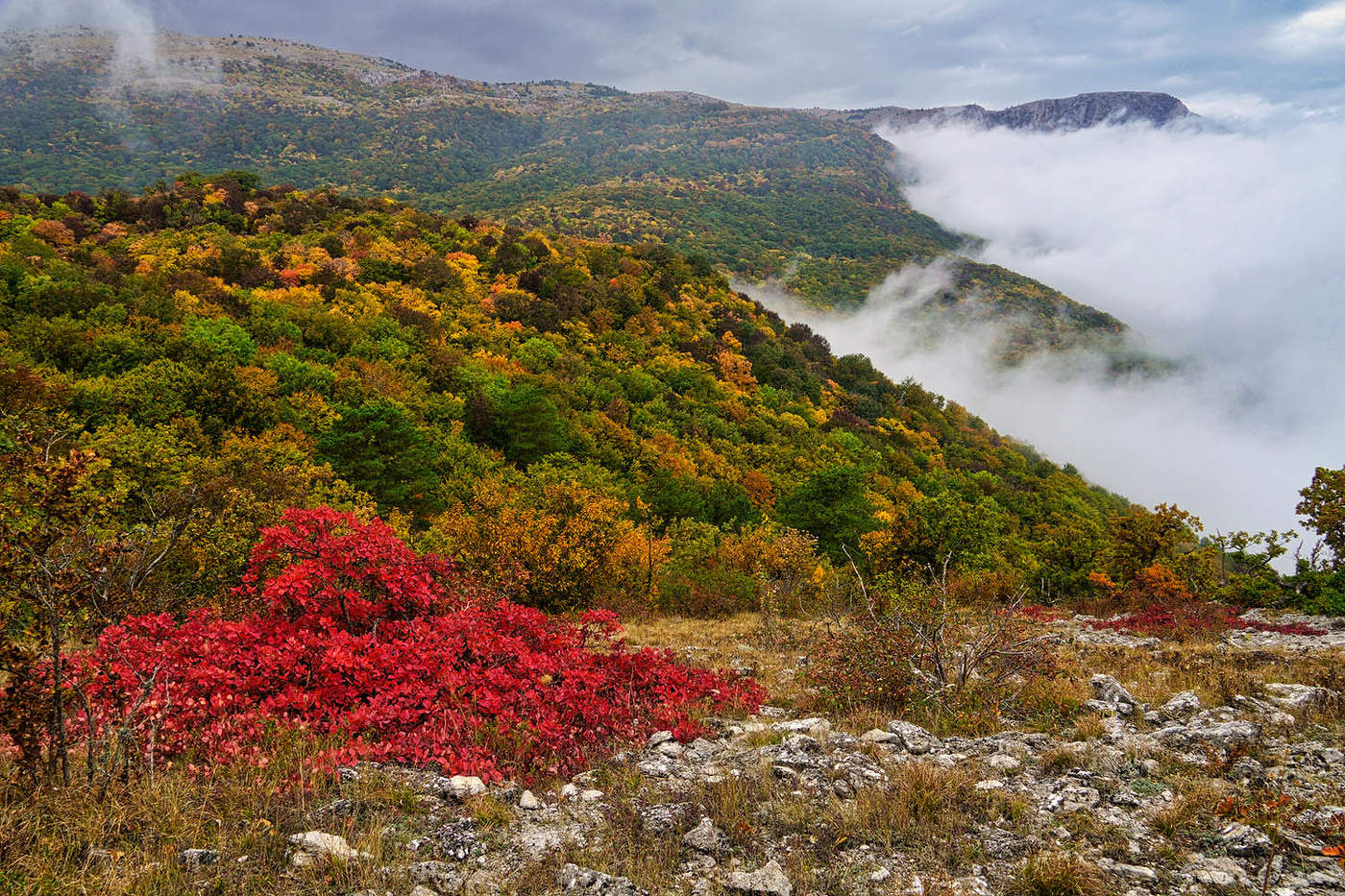 Крым осенью