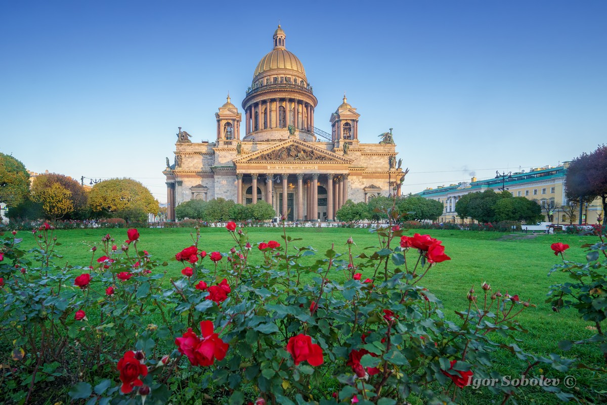 Исаакиевский собор цветы