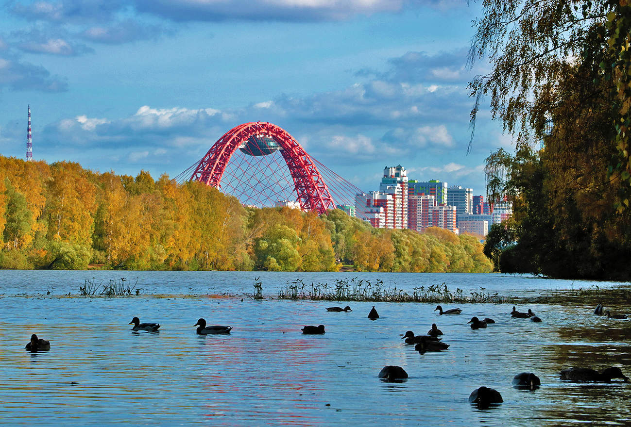 живописный мост город москва