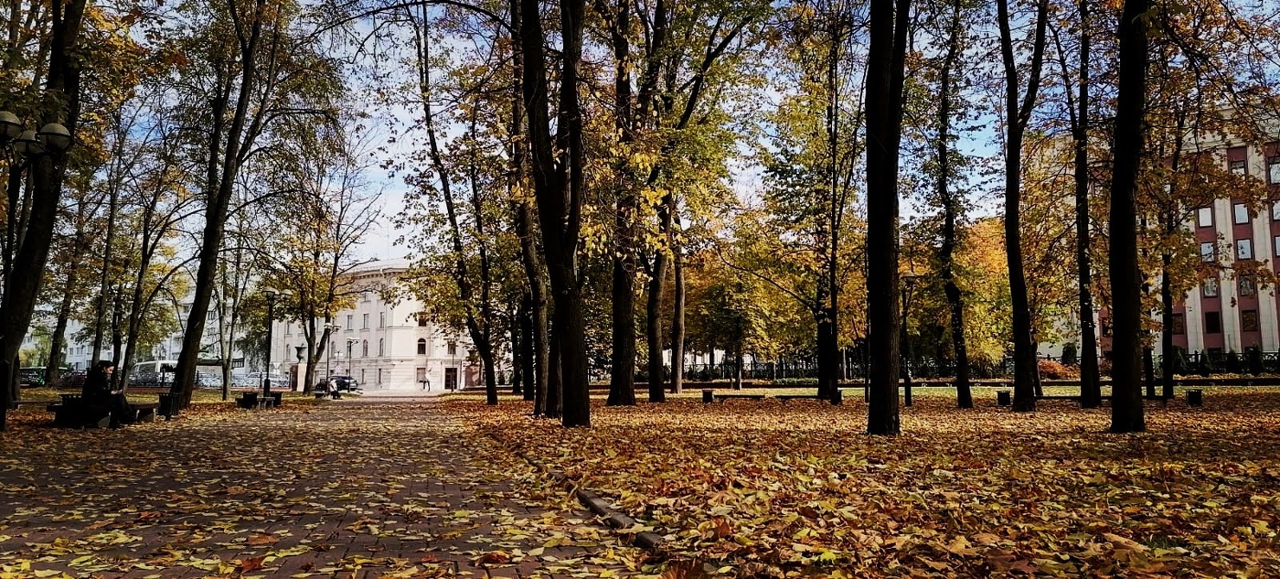 Осенние листья крючком (схемы)