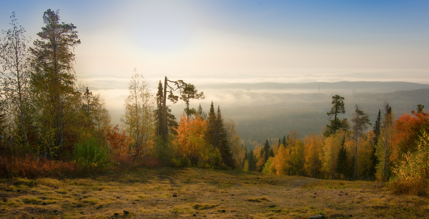 Осенние утренние туманы в Ленобласти фото