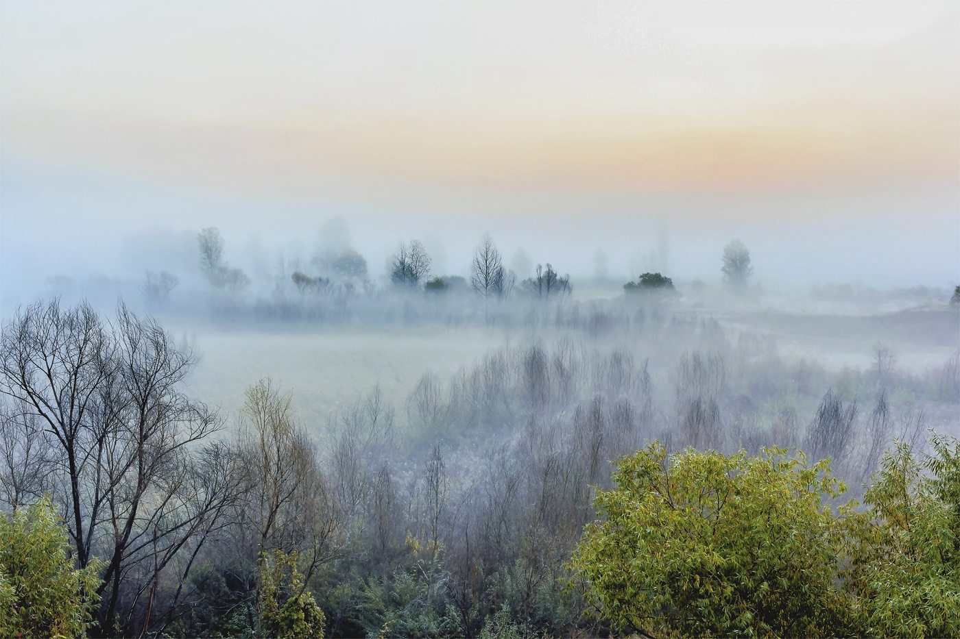 Туман пришел в движение. Турсунтский туман. Туман в октябре. Дорожка сквозь деревья и туман, осень.