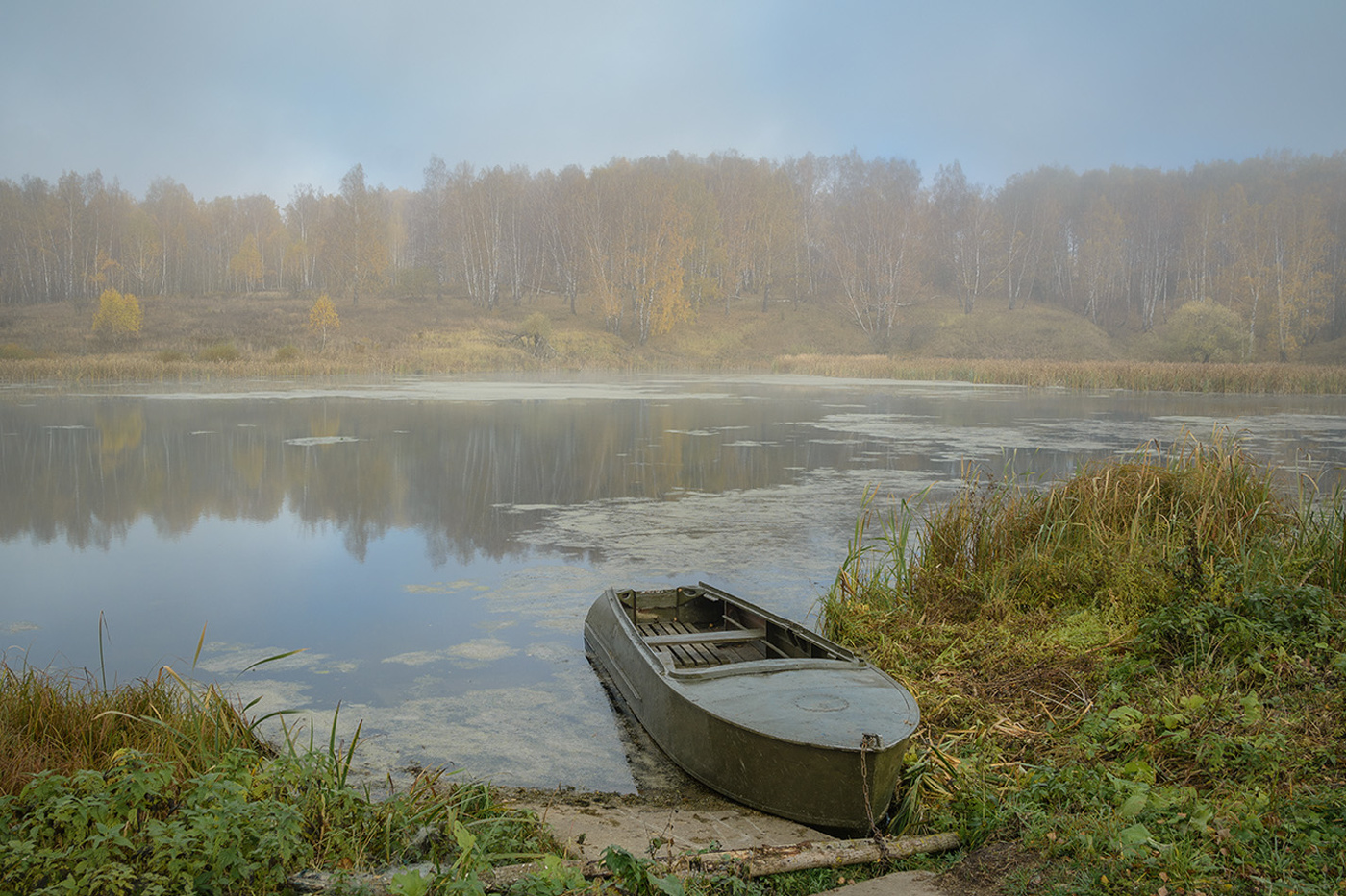 по реке осетр