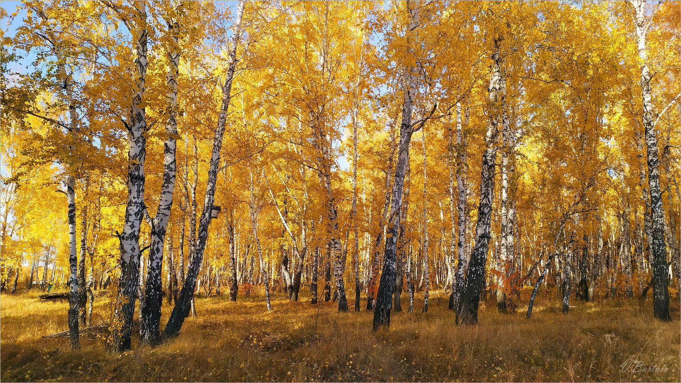 Золотая осень фото Урала деревни