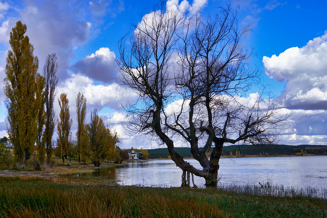 Водохранилище симферополь сегодня фото