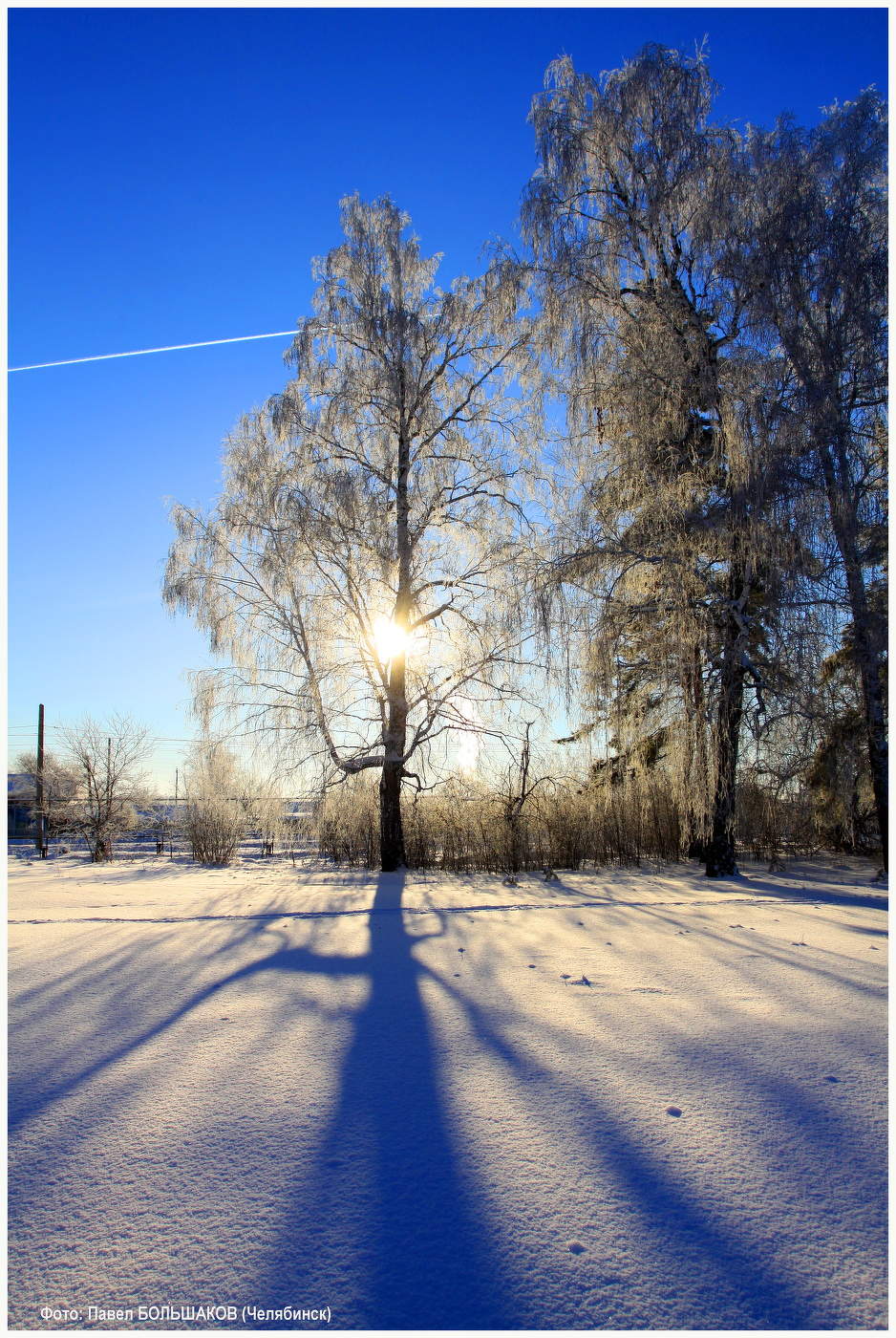 мороз и солнце день чудесный картинки