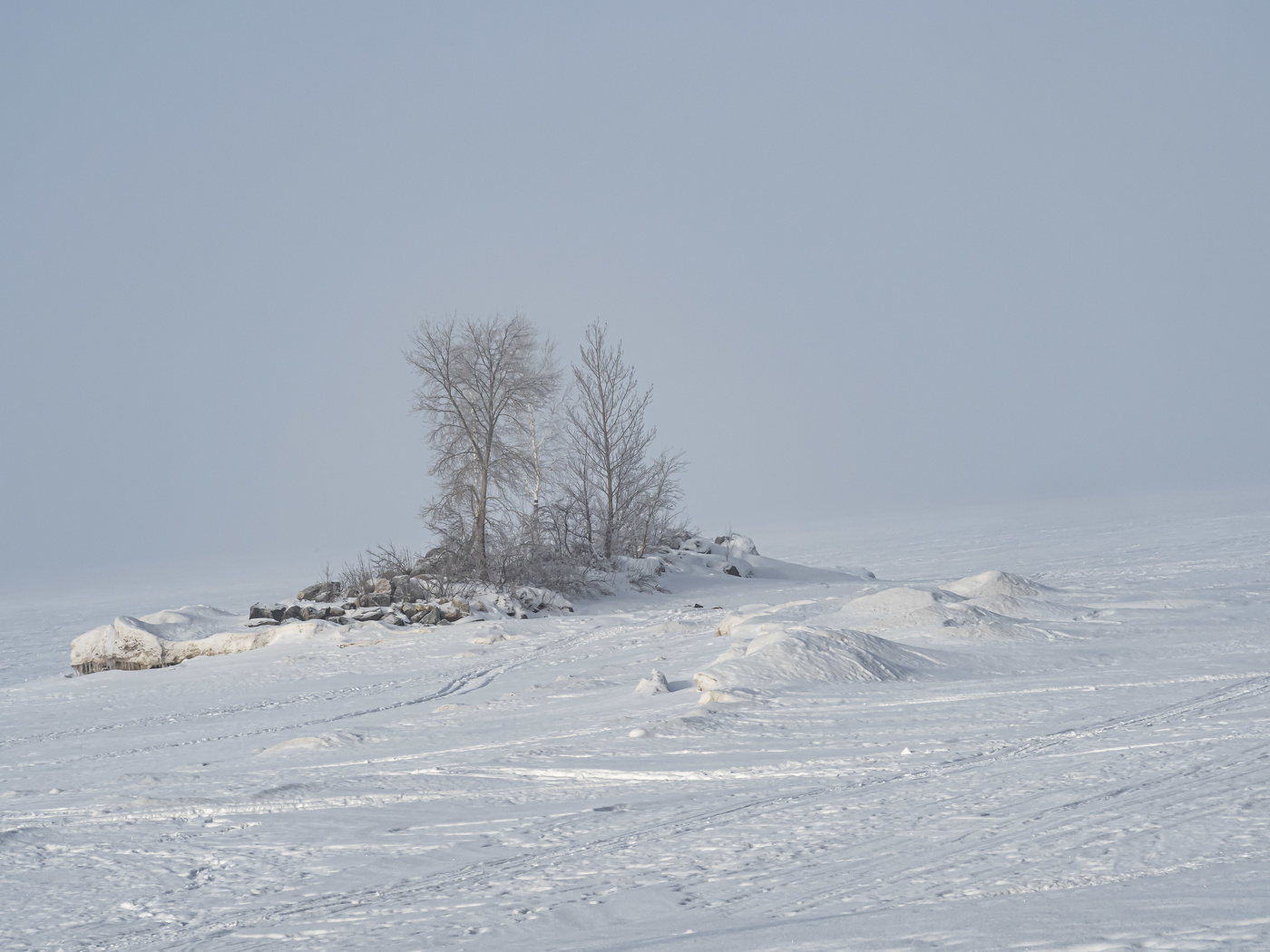 Пурга / зима , пурга