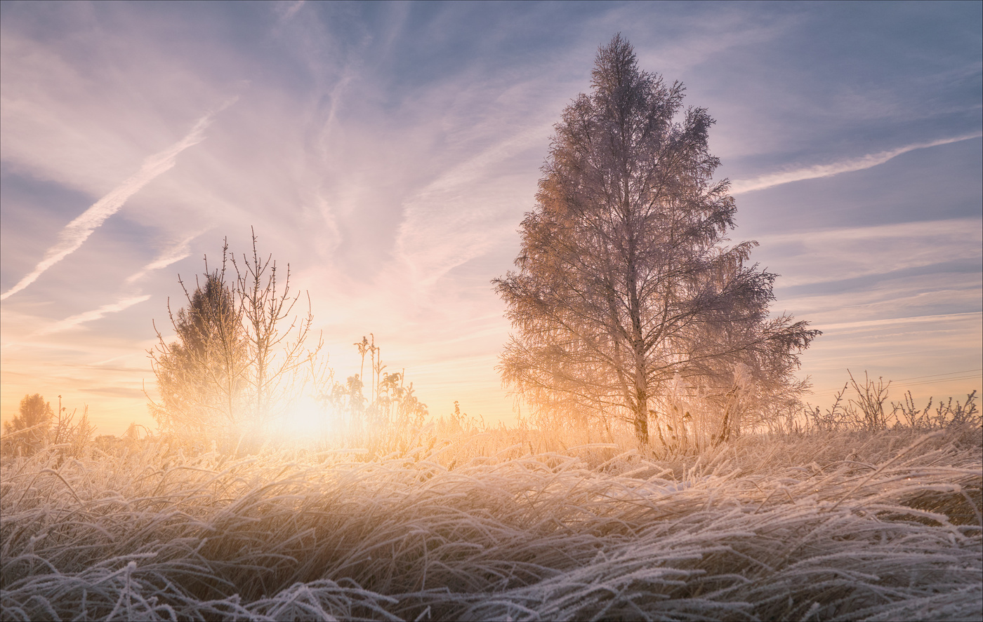 Фотосайт photocentra